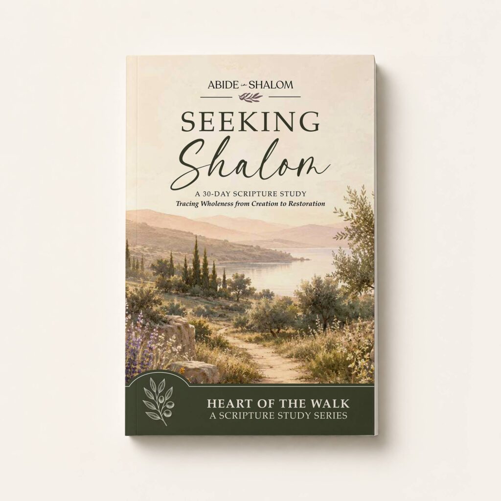 Seeking Shalom