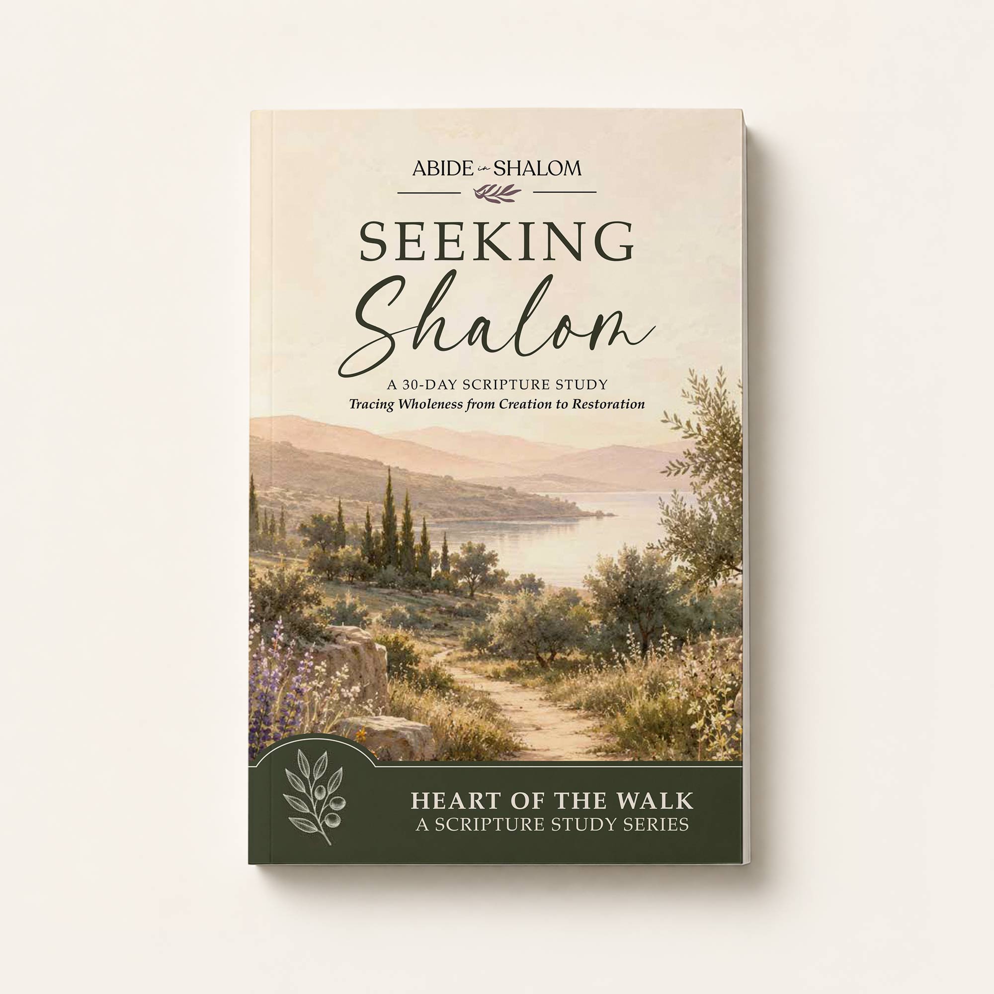 Seeking Shalom